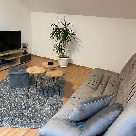 Despot Apartmani Mladenovac Ngoại thất bức ảnh